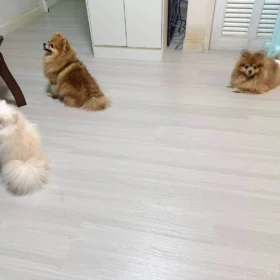 รูปรีวิวพื้นกระเบื้องยางSPC