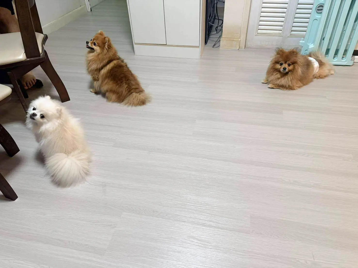 รูปรีวิวพื้นกระเบื้องยางSPC