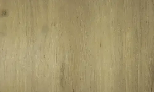 PT04